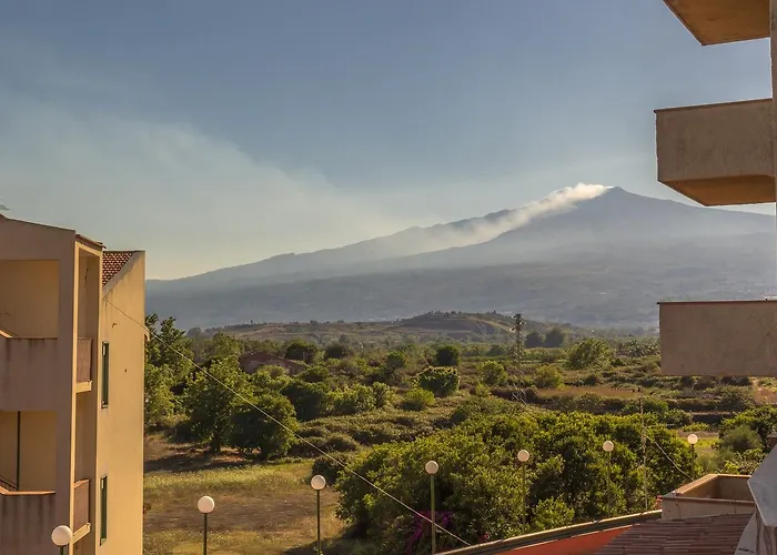 Nero D'avola Morgante *