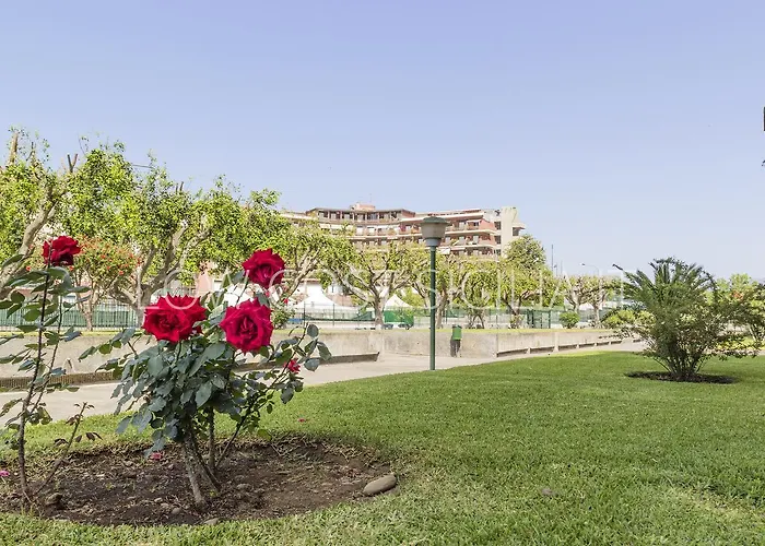 アパート Nero D'avola Morgante *